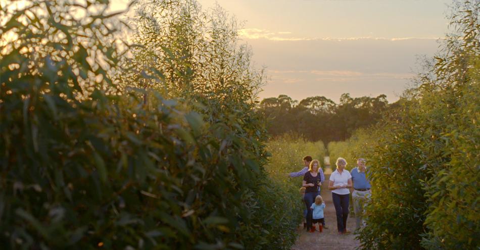 Growing Super Trees for the Future