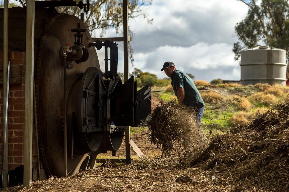 From our farm to you