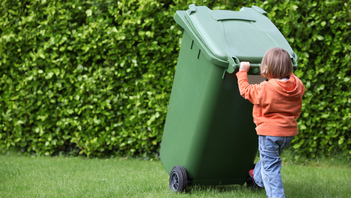 Eucalyptus essential oil Wheelie Bin Deep Clean