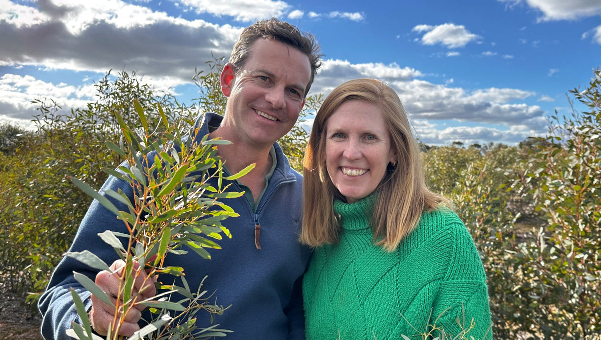 From Leaf to Bottle: Inside Bosisto’s NEW Eucalyptus Oil Distillery