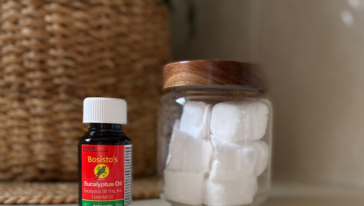 DIY Eucalyptus Shower Steamers