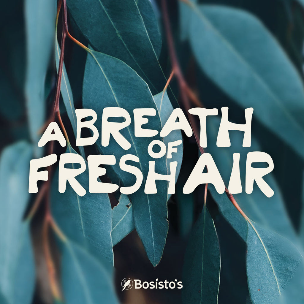 Aromatherapy
