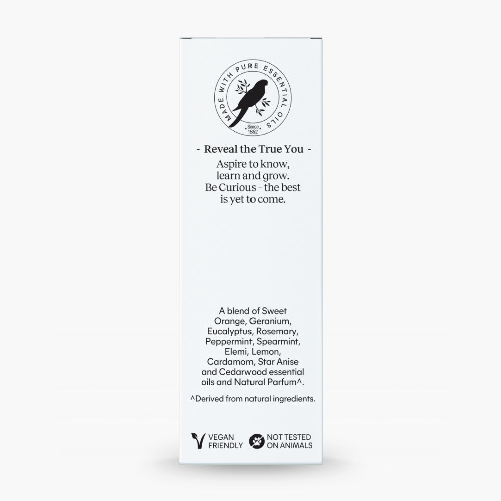 Curious Diffuser Oil 10mL