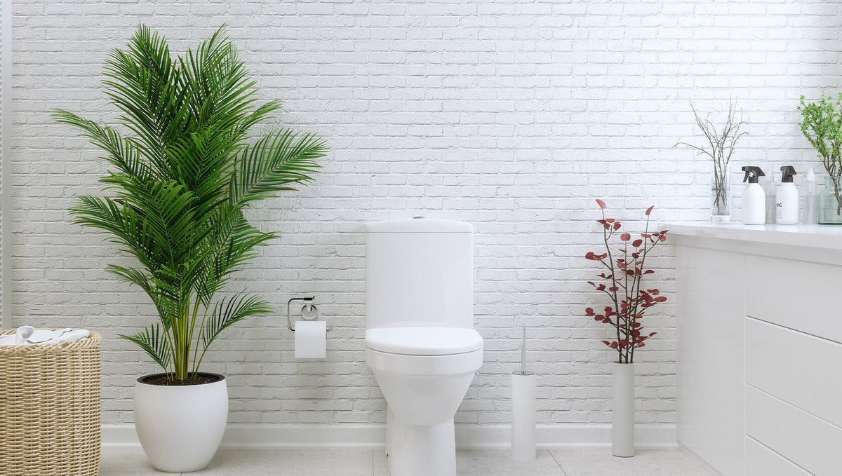 DIY Toilet Fizzies