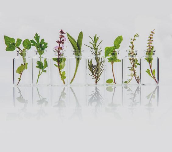 Aromatherapy Made Simple