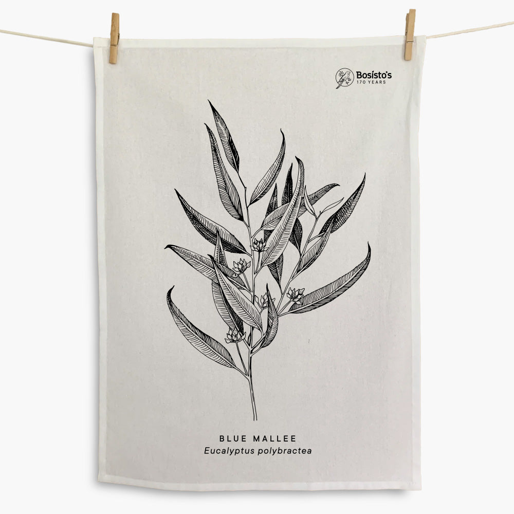 FREE - Limited Edition Blue Mallee Eucalyptus Leaves Tea Towel